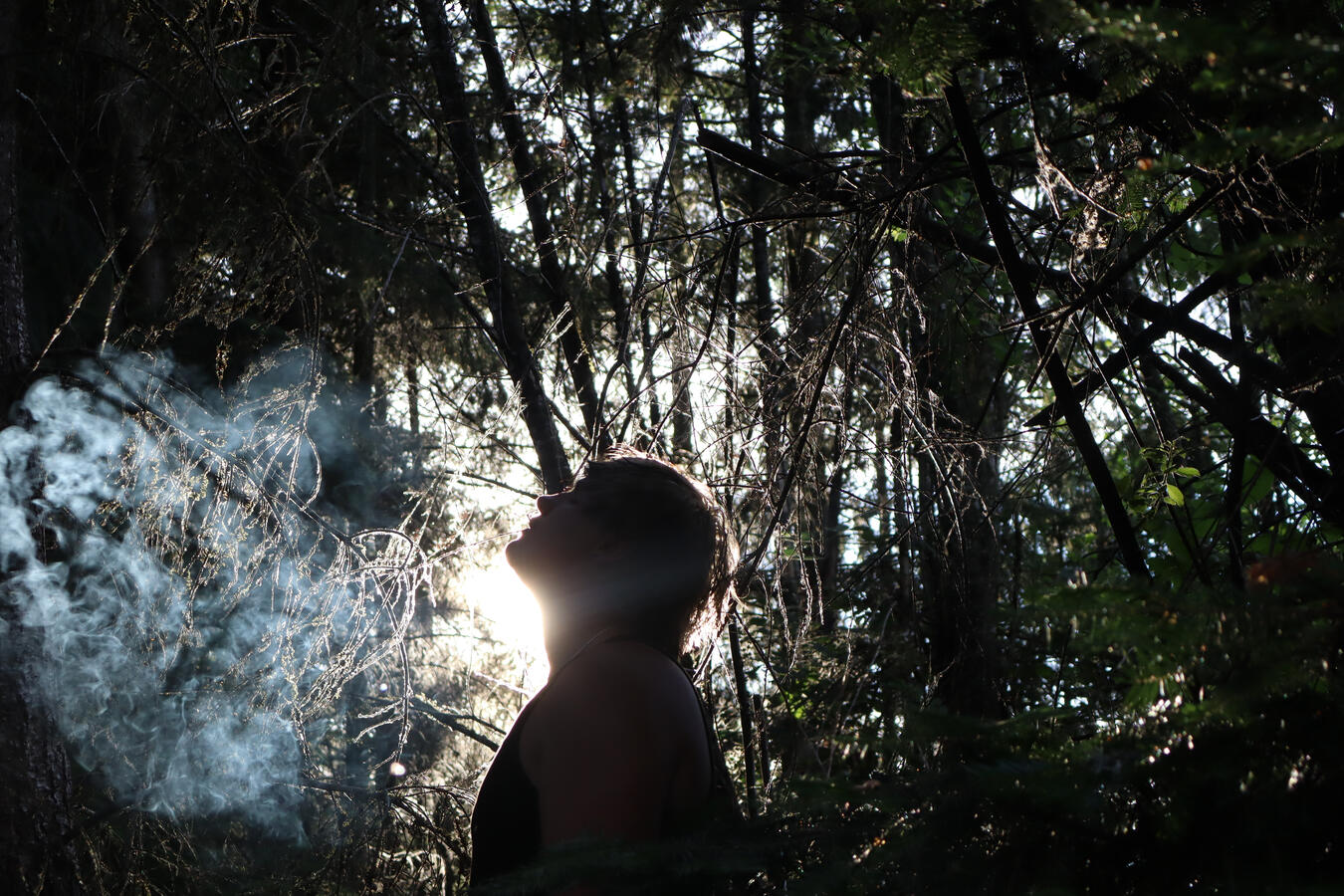 Untitled Untitled